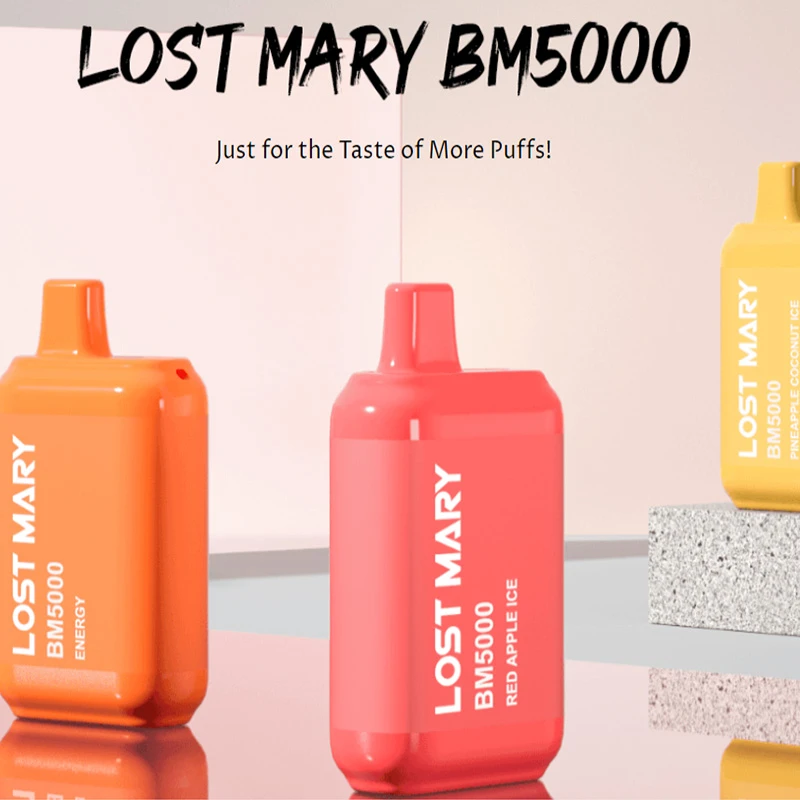 product-800-800 lostmaryBM5000
