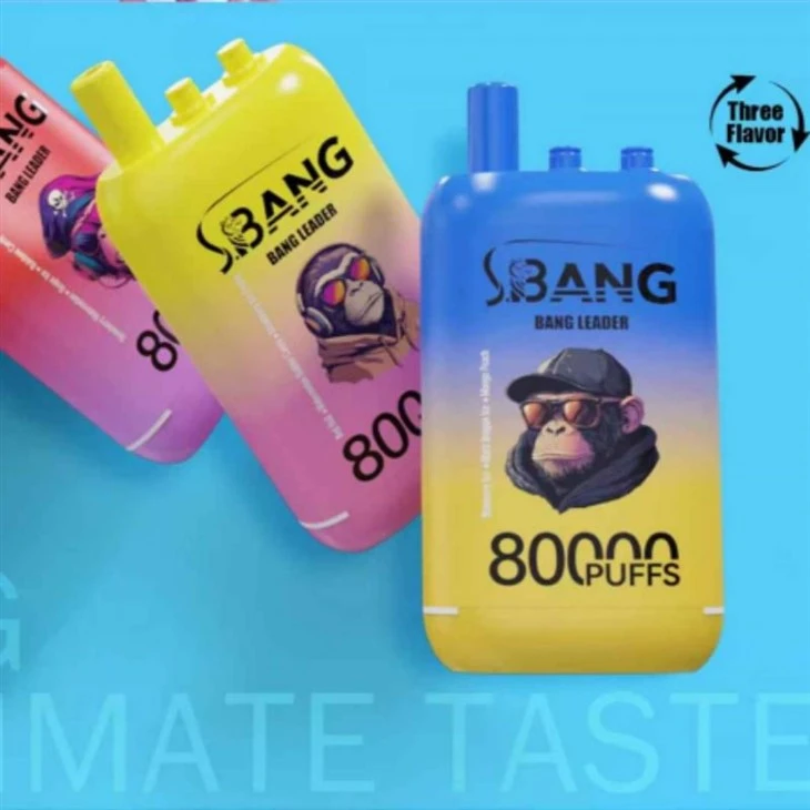 Bang Leader 80000 Puffs