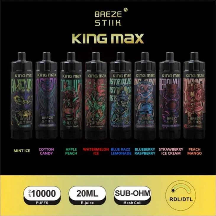 Breze Stiik King Max 10000 Слоек