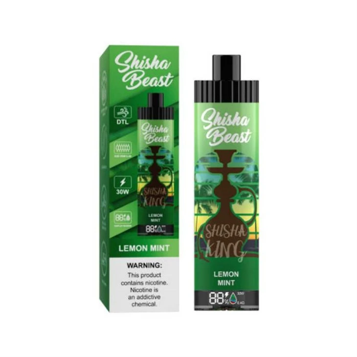 R&M ShiSha Beast 20000 Слойки
