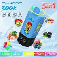 БАНГ ДЕ 5 В 1 300К