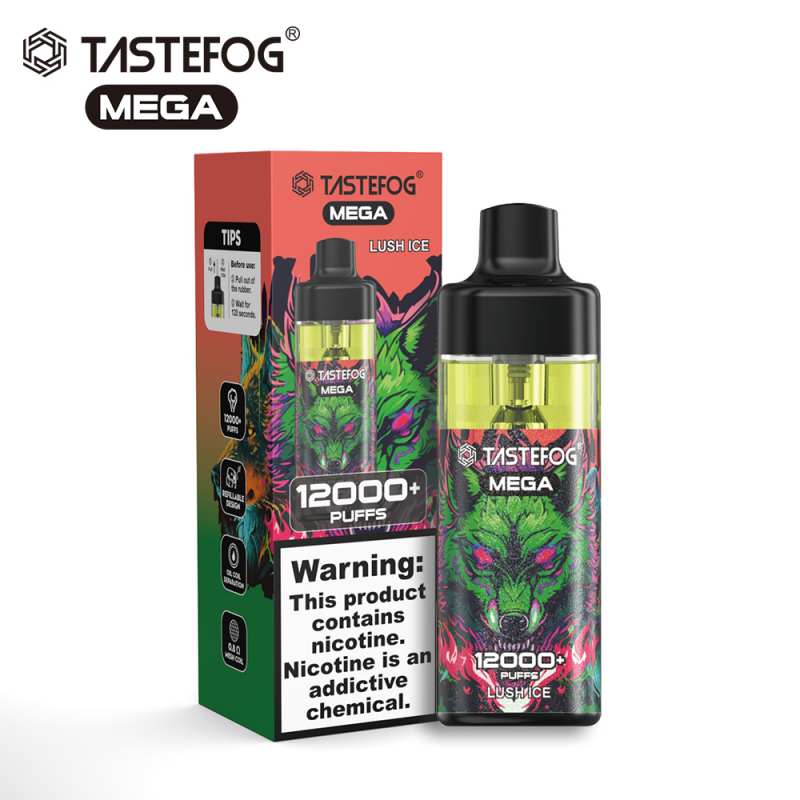 TASTEFOG MEGA 12K Слойка