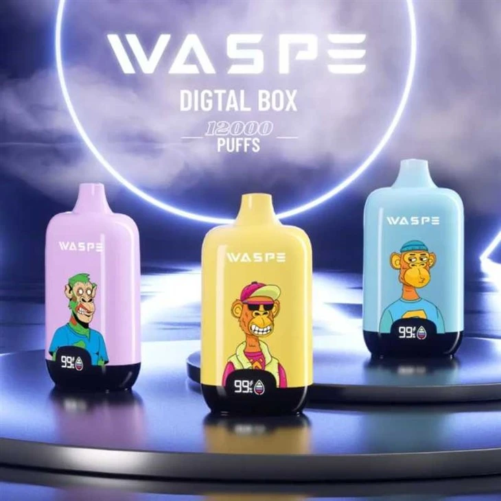 Цифровая приставка WASPE 12000